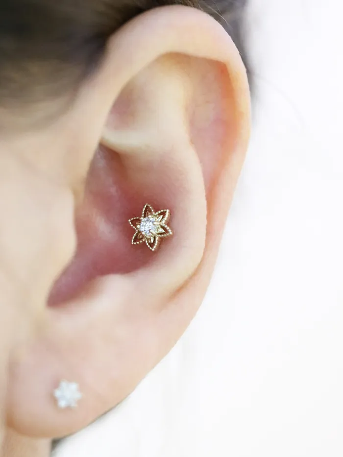 14K Gold Bling Flower Cartilage Earring 18G16G MinimalBijoux Earrings