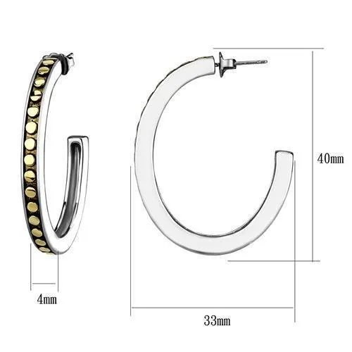 Alamode Earrings TK2891 TwoTone IP Gold Ion Plating Stainless Steel Earrings with Epoxy in Jet