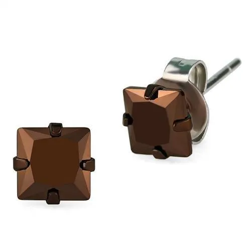 Earrings Alamode TK2583 Two Tone IP Light Brown IP Light coffee Stainless Steel Earrings with AAA Grade CZ in Light Coffee Earrings Alamode TK2583 Two Tone IP Light Brown IP Light coffee Stainless Steel Earrings with AAA Grade CZ in Light Coffee