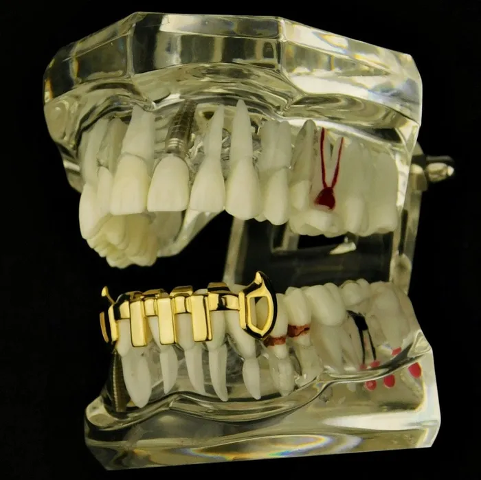 PreStyled Sets Bling Cartel Admin 14K Gold Plated Vertical Bars Bottom Vampire Fangs Grillz