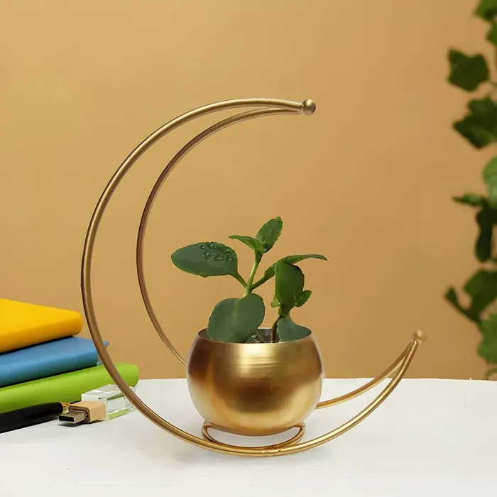 Dropshipped via Social Commerce Network Earrings YABIE ARTS Designer Flower Vase with Gold Designer Vase Gold Metal Moon Shape Flower Pot Table Decorative Flower Pot Home Decor vase Dropshipped via Social Commerce Network Earrings YABIE ARTS Designer Flower Vase with Gold Designer Vase Gold Metal Moon Shape Flower Pot Table Decorative Flower Pot Home Decor vase