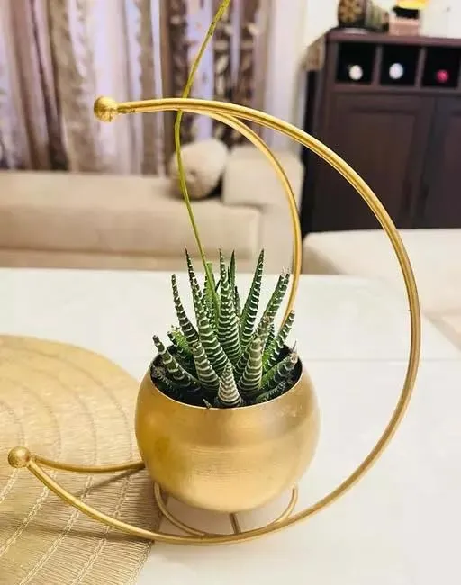Dropshipped via Social Commerce Network Earrings YABIE ARTS Designer Flower Vase with Gold Designer Vase Gold Metal Moon Shape Flower Pot Table Decorative Flower Pot Home Decor vase