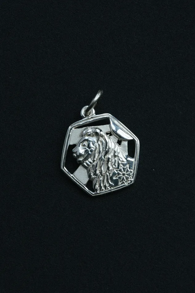 Sterling Silver Standing Proud Lion Pendant Air Anchor Necklaces