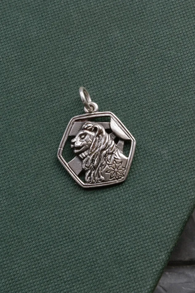 Sterling Silver Standing Proud Lion Pendant Air Anchor Necklaces